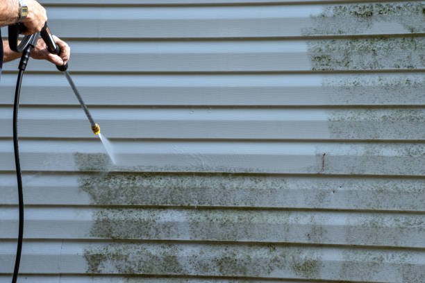 Best Carpet Removal and Disposal  in Stanton, KY